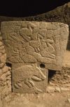 Göbekli Tepe - Sanglier