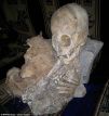 Skull