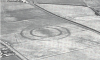 Trelleborg Henges